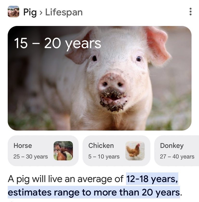 GO5DjnhbMAAF9Fd?format=jpg&name=900x900