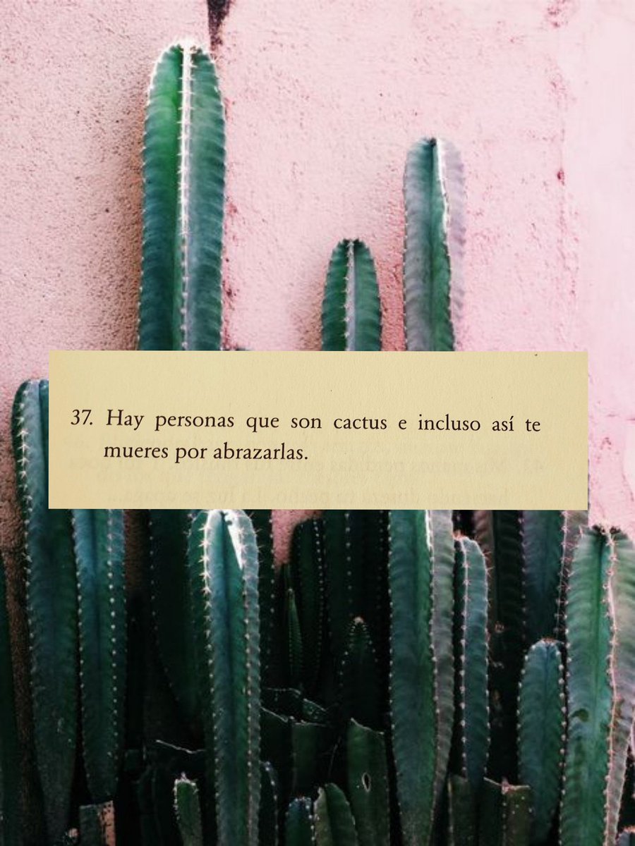 Defreds (@defreds) on Twitter photo 