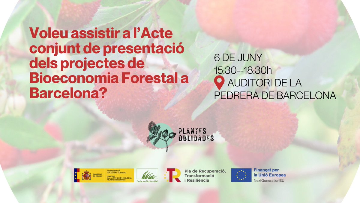 Voleu assistir a l’Acte conjunt de presentació dels projectes de Bioeconomia Forestal a Barcelona?
🗓️6 DE JUNY | 15:30--18:30h
📍AUDITORI DE LA PEDRERA DE BARCELONA

Si voleu assistir, confirmeu emplenant aquest formulari >> bit.ly/presentacio-bi…
@FBiodiversidad #proyectosPRTR