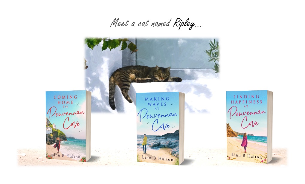 🥀 Penvennan Cove series will spirit you away: Creeping around and seeing Ross Treloar behind closed doors seemed like a good idea - until his father returns to Penvennan Cove. #Cornwall #village #life #family bit.ly/3ENFYlH