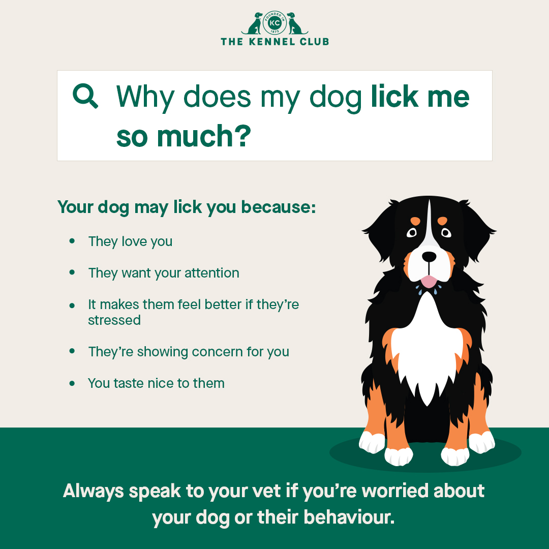 The Kennel Club tweet media
