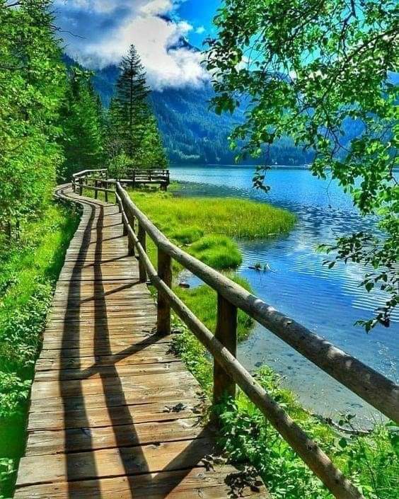 💚 𝑯𝑨𝑷𝑷𝒀 𝑭𝑹𝑰𝑫𝑨𝒀 💙💚💙
#naturelovers #nature #NatureBeauty