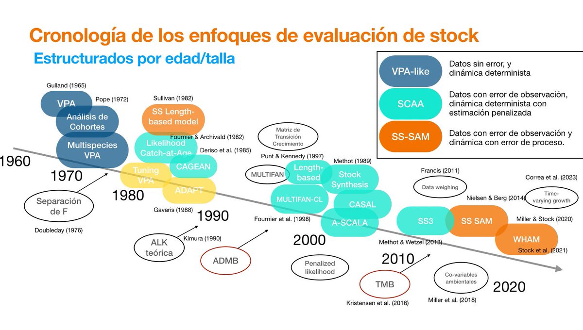 Cronología de modelos de evaluación de stock estructurados por edad/talla. Desde modelos transformativos de datos (APV, ANCO), estadísticos con verosimilitud penalizada (SCAA), hasta modelos en el espacio de lo estados con verosimilitud marginal (TMB) como WHAM y SS SAM 👇🏻