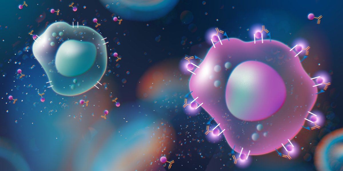 Audax Bio tweet media