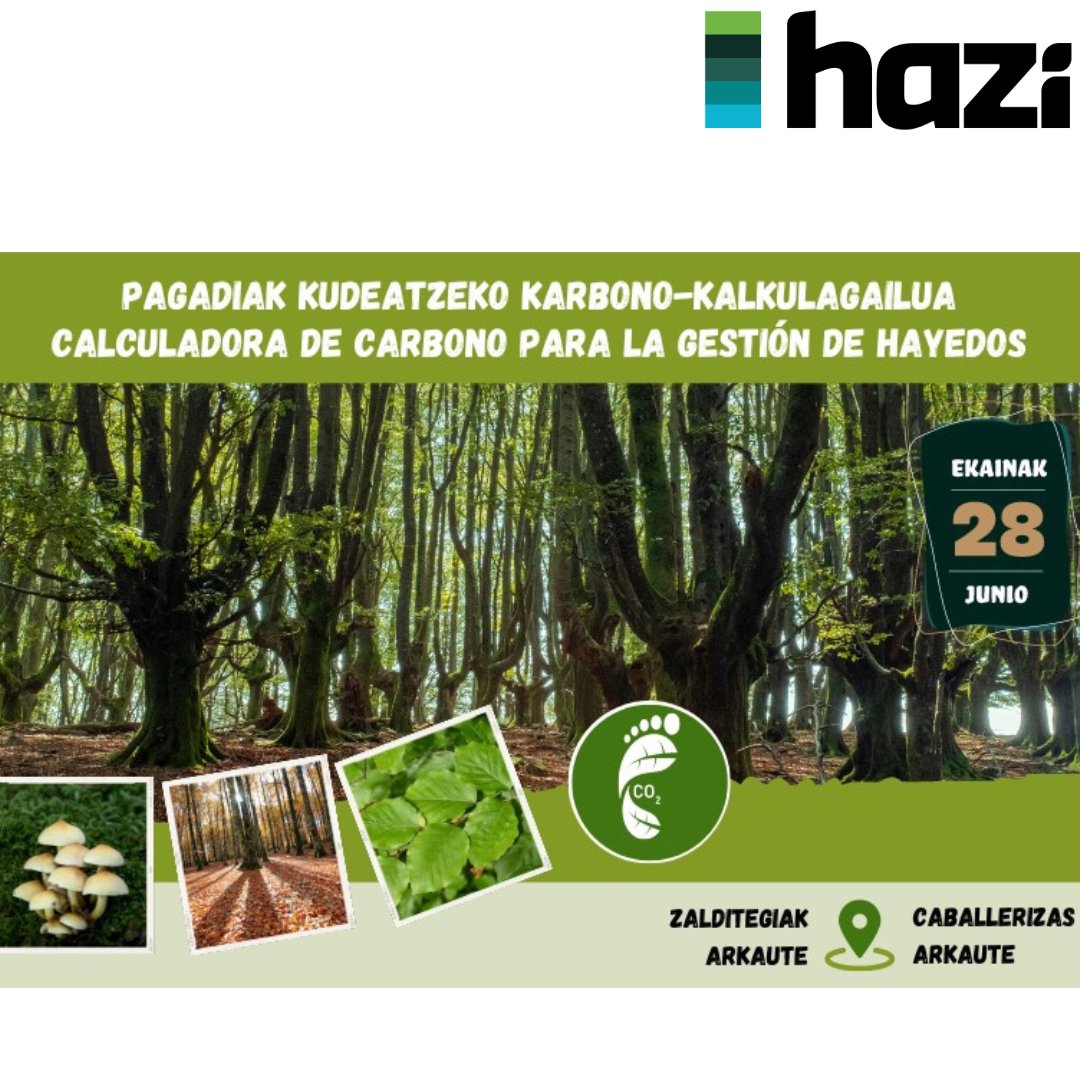 hazifundazioa's tweet photo. Akitania Berria Euskadi Nafarroa Euroeskualdearen: Pagadiak kudeatzeko karbono-kalkulagailua proiektuaren azken jardunaldia.
Jornada final del proyecto de la Eurorregión Nueva Aquitania,Euskadi,Navarra:Calculadora de carbono para la gestión de hayedos.
✏️https://t.co/Wyo76uaqCD https://t.co/JwKKP25v4B