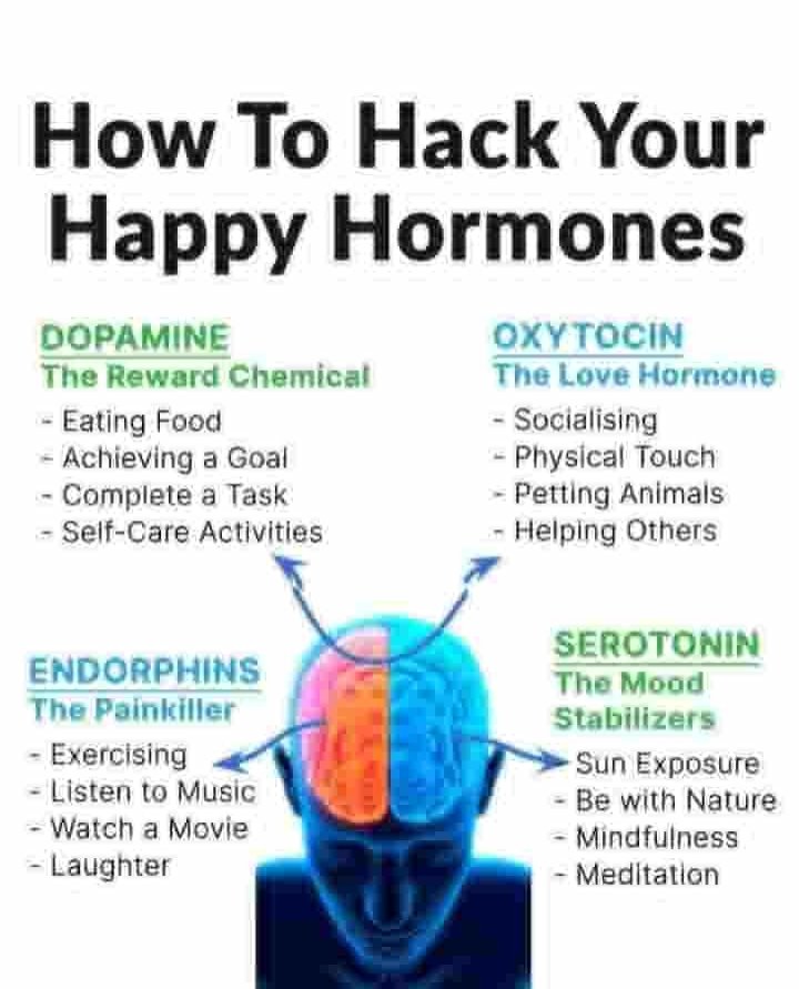 Heart2EarESI's tweet photo. The state of happiness is not always READILY attainable.

You need to hack your happy hormones to skillfully navigate days you feel blue. https://t.co/xX3FwN7hOl