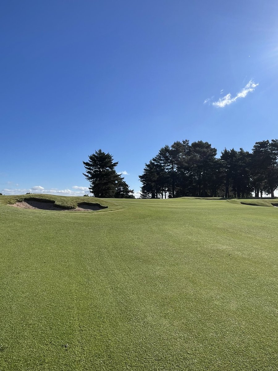 Delamere Forest GC Greens tweet media