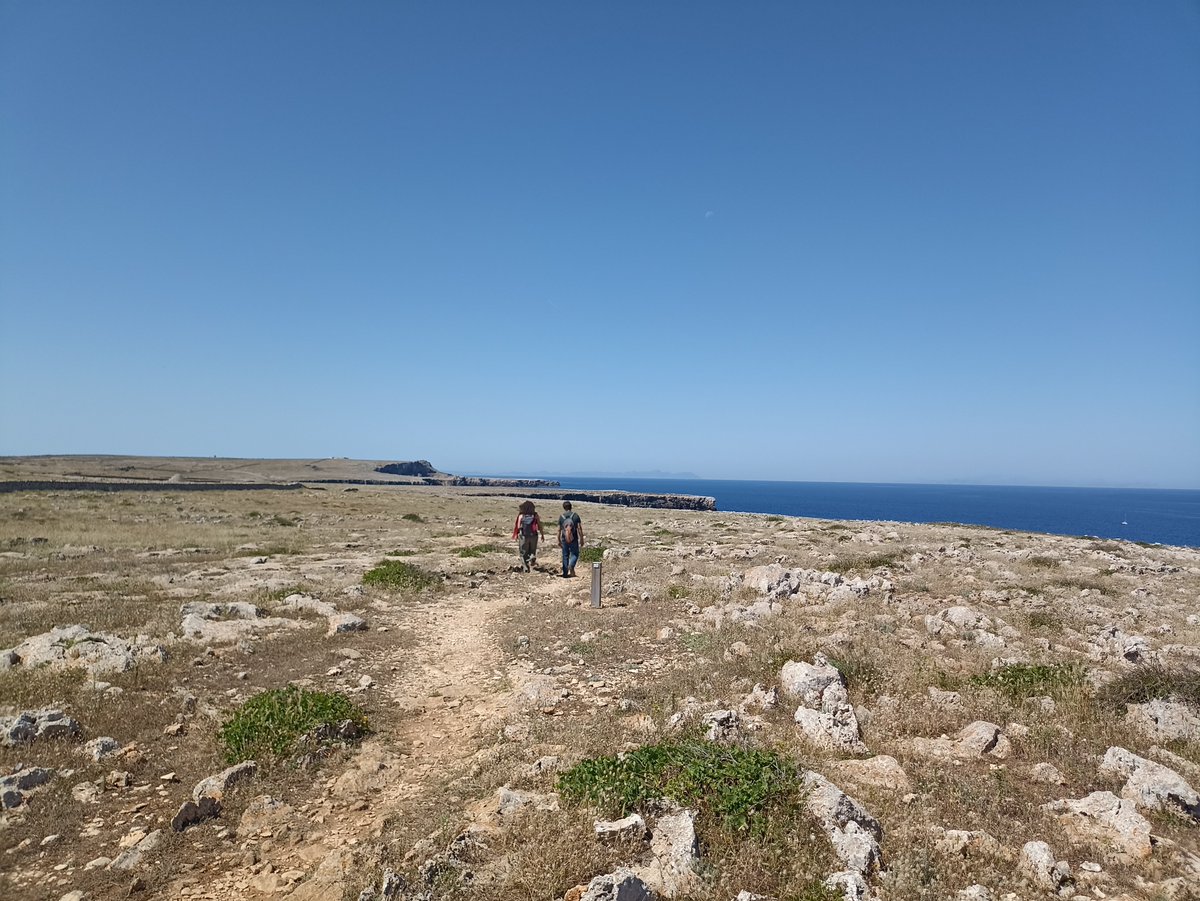 These days we are visiting historic #Miocene-#Pleistocene fossil sites of Minorca 🐁🐇🐢, some of them described by the paleontologist Dorothea Bate at the early of XXth century. Enjoying a lot of this experience! #FossilFriday #PaleoGalicia #womeninpaleo #inspiringwoman