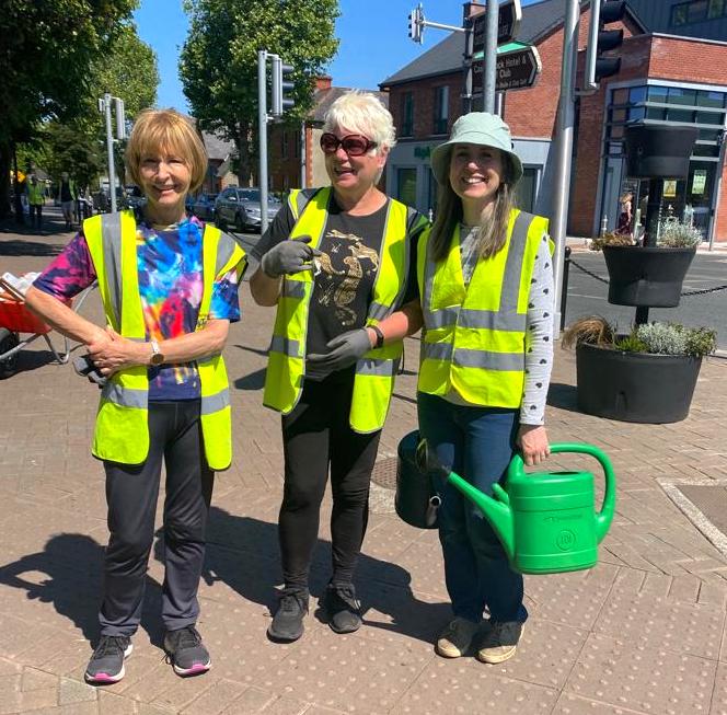 SUNNY BANK HOLIDAY WEEKEND VOLUNTEERING: Calling all volunteers to get Castleknock village ready in advance of our annual visit from the TidyTowns adjudicator.  Meet us at Myo's Car Park tomorrow at 10am. We provide gloves, bibs and tools. Even sunscreen! Hope to see you there!