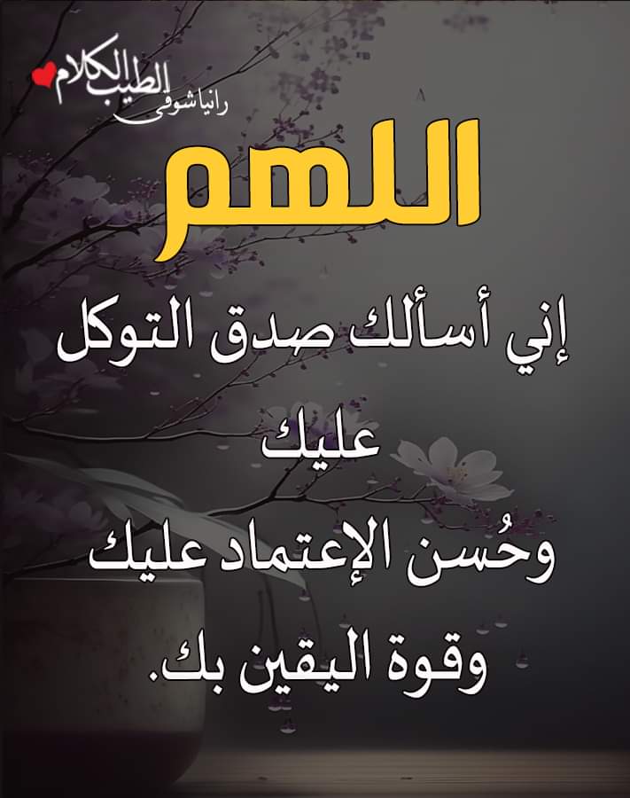 aymanmo45515314's tweet photo. https://t.co/k4vQlYcWym