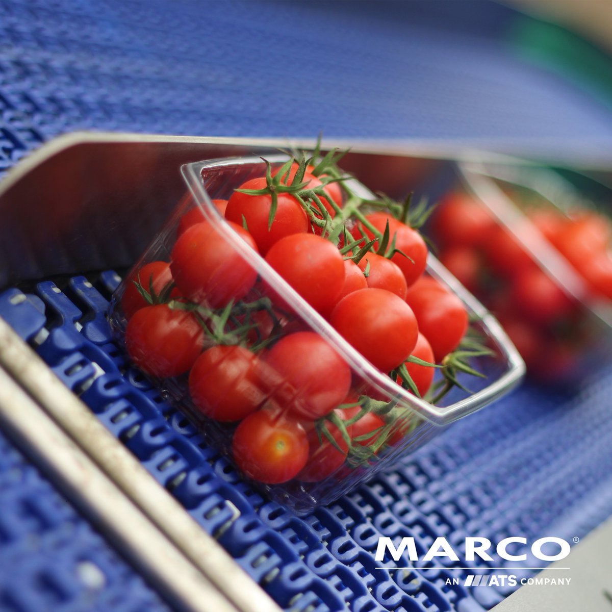 MARCO_Limited's tweet photo. Help to prevent costly return-to-manufacturer scenarios or emergency product withdrawals with the MARCO Line Control Software Module. 

https://t.co/GDU5zJMylT

https://t.co/4g9wjHqVxv

#management #marcoinsights #traceability #reporting #linecontrol #consistency #accuracy https://t.co/TbGnu4L6Zx