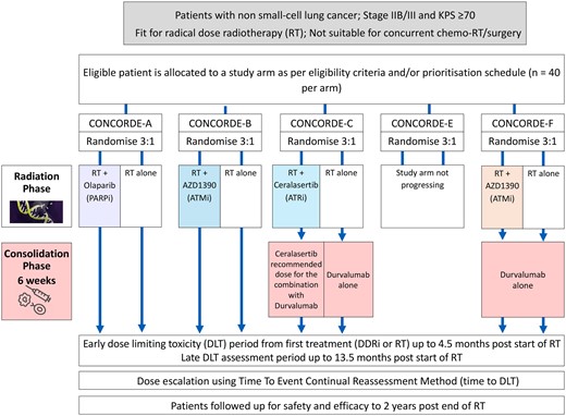 Leeds Radiotherapy Research 💙 tweet media