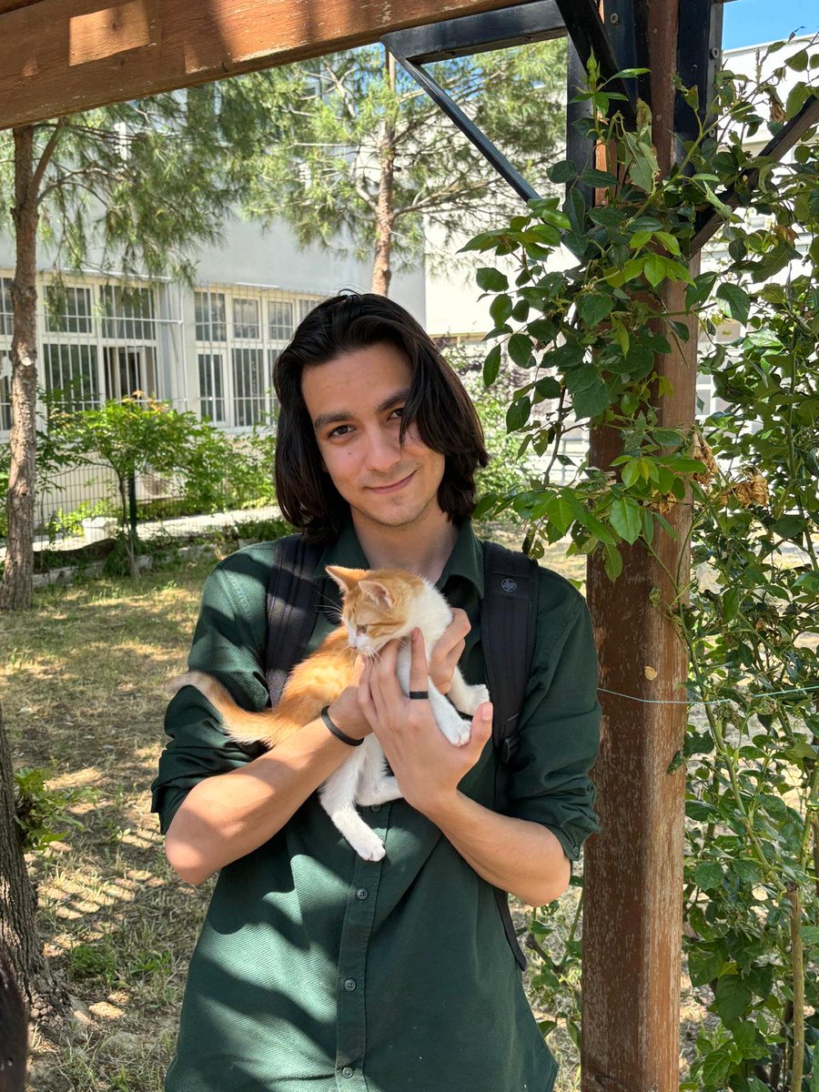 zaman zaman ağaçtan kafana yavru kedi atlar.

tut.