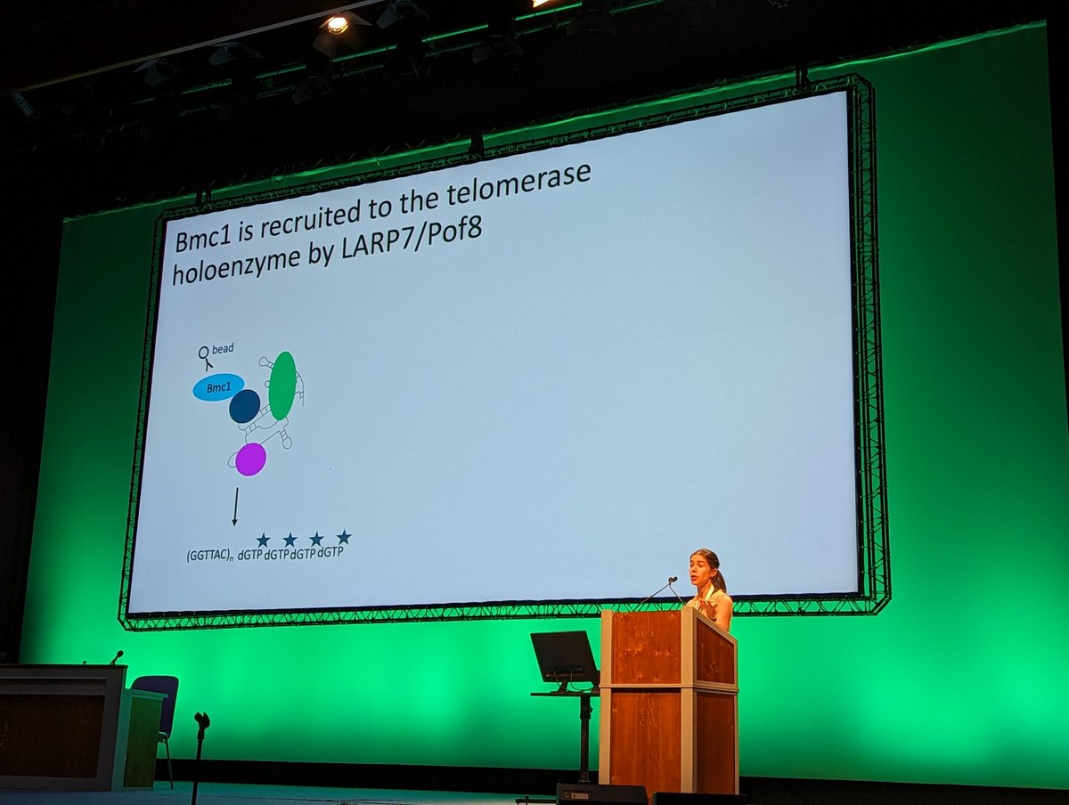 RNACanadaC2R2's tweet photo. Dr. Jennifer Porat gives a beautiful talk about her thesis work on the RBP Bmc1 in @BayfieldLab as she receives the @RNASociety Scaringe Young Scientist Award. 🎉 https://t.co/xweNqJjgR1