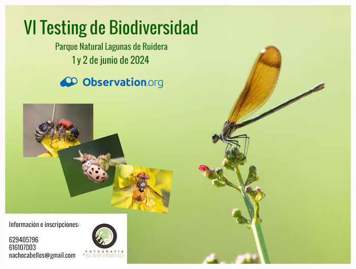 Este fin de semana habrá movimiento en las Lagunas de Ruidera, de la mano de @bvwebrs y su IV testing en el parque natural. observation.org/bioblitz/vi-te…