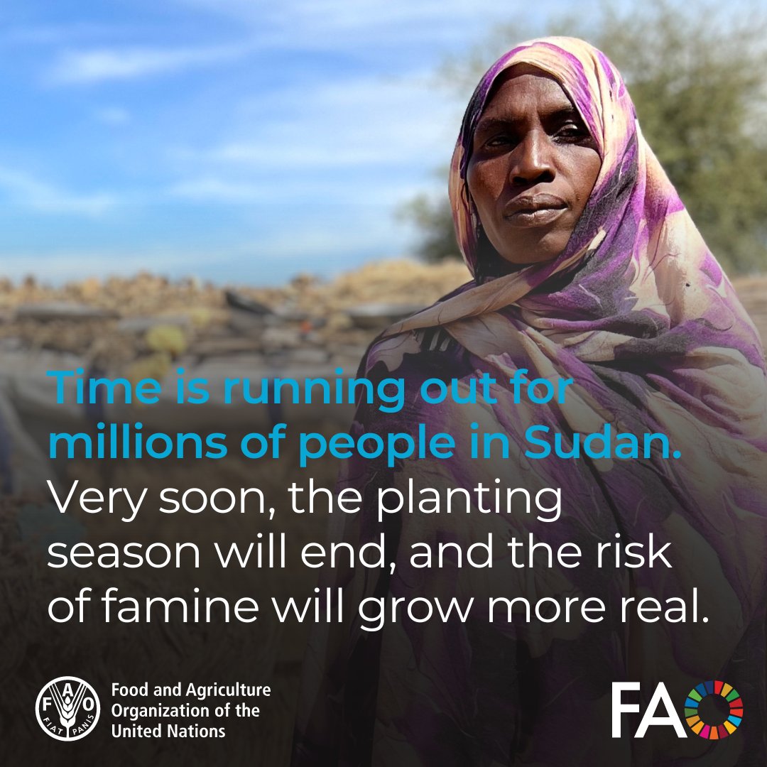 Millions across Sudan depend on agriculture to feed themselves and their families, including children. They need lifesaving agricultural support now. Read the statement by IASC principals: bit.ly/4c0Knkd