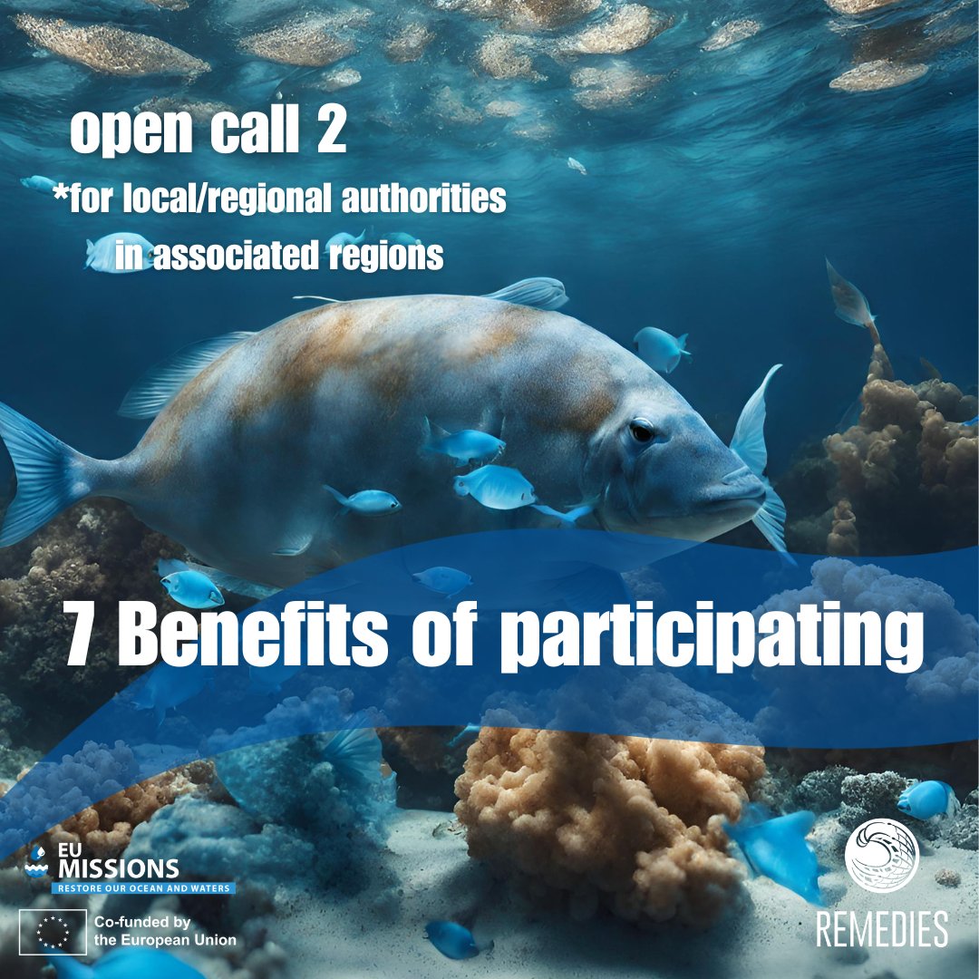 remedies_EU's tweet image. 🌊 Apply for grants up to 100,000 € and join us in shaping a #PlasticLitterFree future!

⚠️ Apply until June 5, 2024 (17h CET):
remedies-for-ocean.eu/open-call-2/