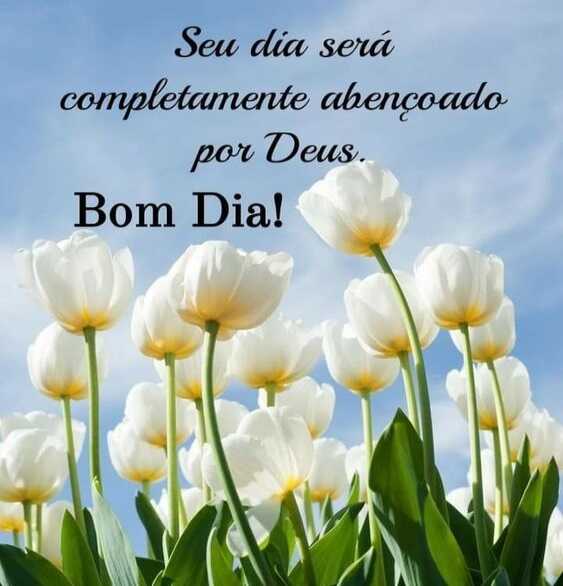Bom dia, abençoada sexta-feira para os meus Amigos! 🙏
Sigamos confiantes.
Nossa capacidade de superação é maior que qualquer adversidade. 
Se Deus é por nós, quem será contra nós? 🙏
🍁🌼🍁🌼🍁🌼🍁