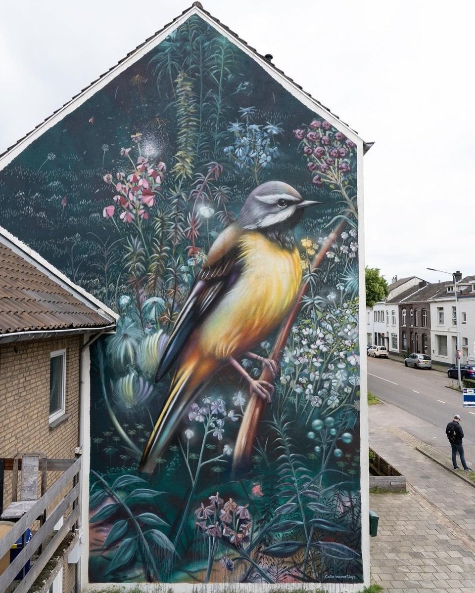 Art by Dutch Collin van der Sluijs in Maastricht, Netherlands (2024) #collinvandersluijs #streetart #lamolinastreetart | photo by @iris_vanderheijden via artist mysl .nl/mpXQM