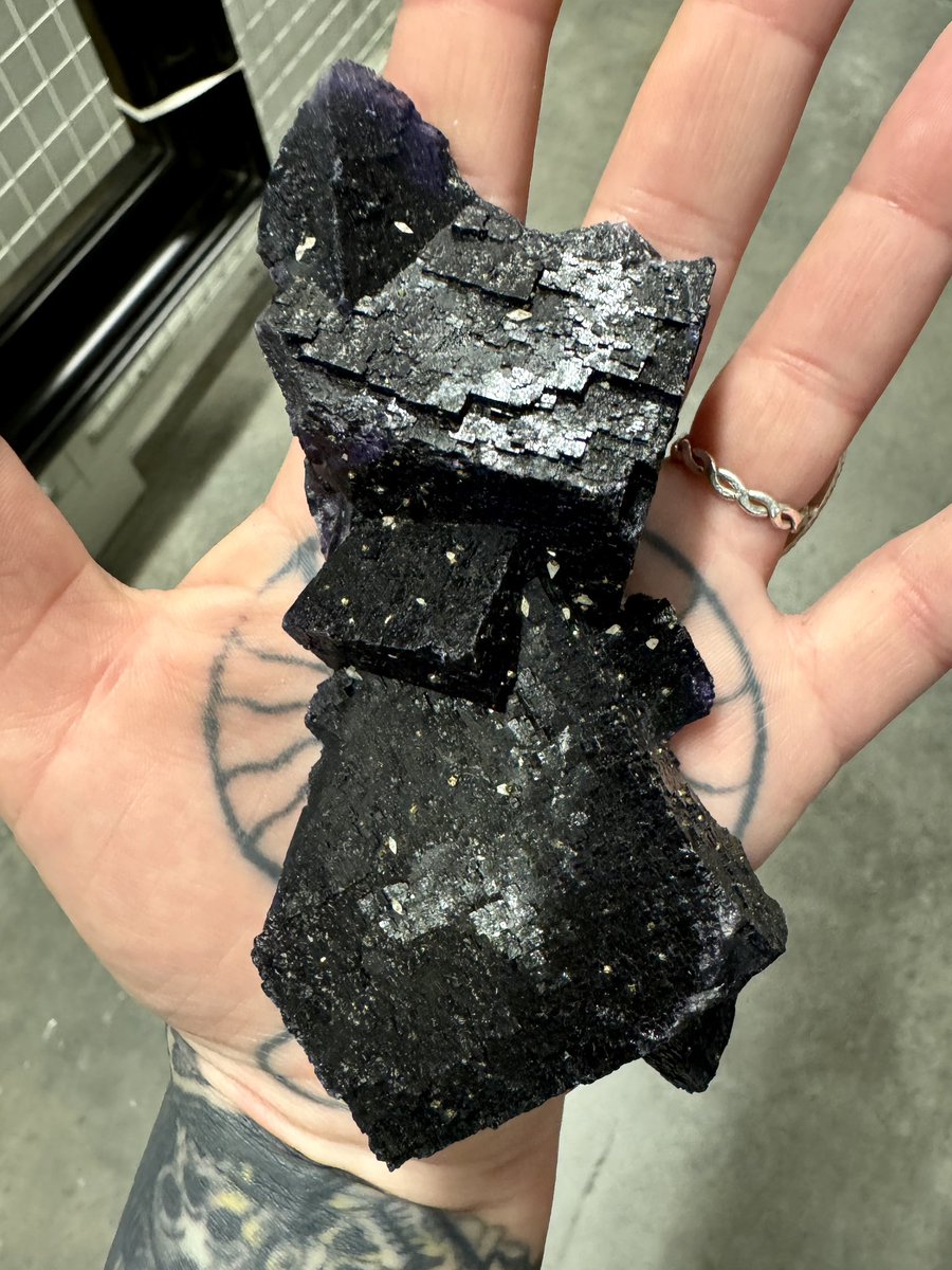 Head like a hole, black as your soul.. 🖤 I’m rather obsessed with this goth fluorite from Illinois (held in The Hunterian collections)