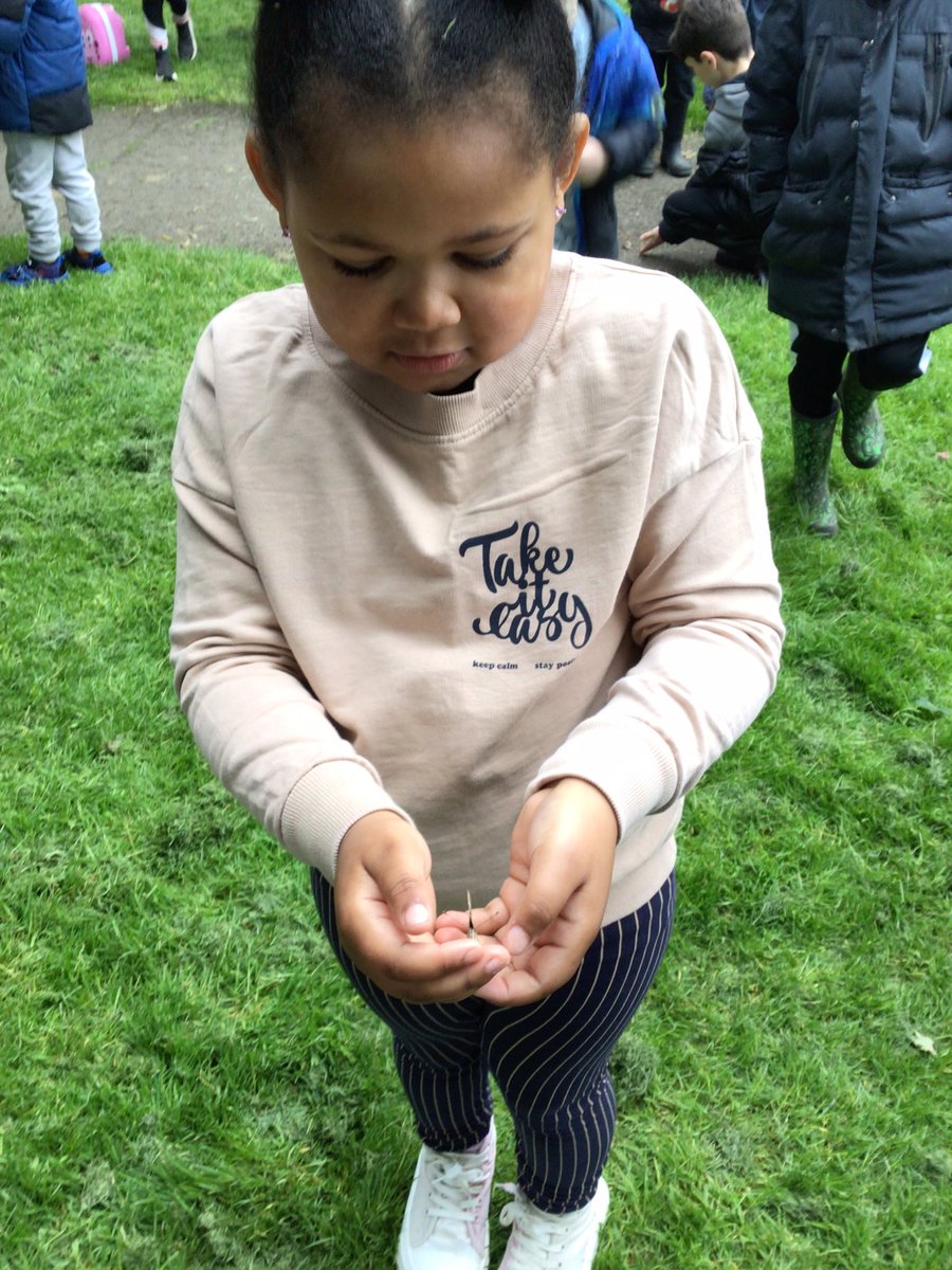 FinedonScFS's tweet photo. Thank you to everyone that came to our butterfly release this morning. All 33 butterflies successfully released, despite the cool, windy weather, they managed on warm their wings and fly away. Keep an eye out for our Painted Lady butterflies around the green 🦋 https://t.co/q17jK78sTr