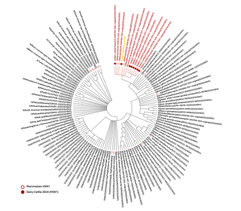 Michelle Wille tweet media