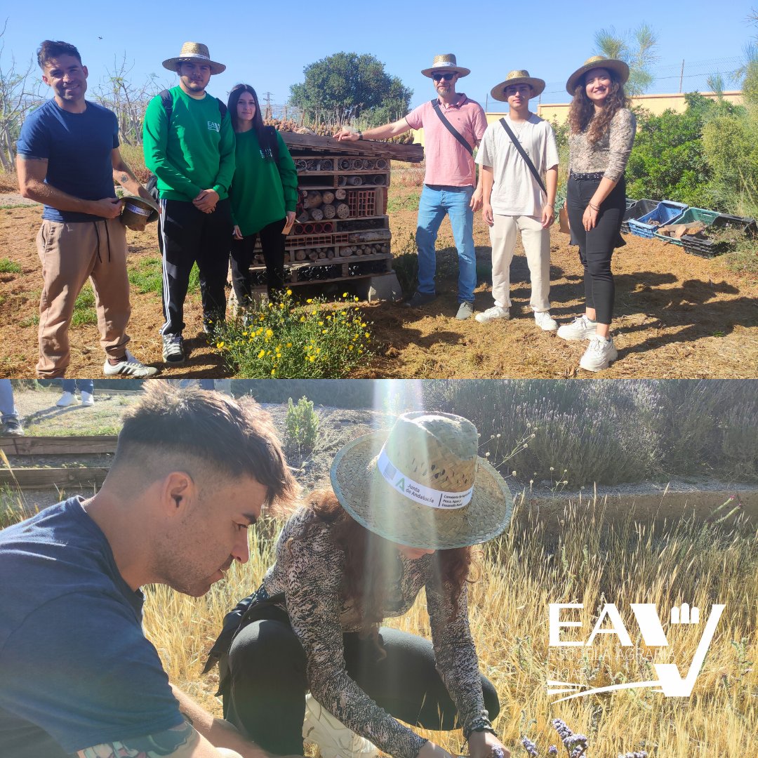 🌱 ¡Visita al IFAPA La Mojonera!
🐝🌼 Alumnos de 1° Curso de Producción Agroecológica de la Escuela Agraria Vícar asistieron a una jornada sobre Biodiversidad del proyecto #Recicland en las instalaciones del IFAPA La Mojonera.
👌 💚 Una experiencia muy enriquecedora…
 #IFAPA