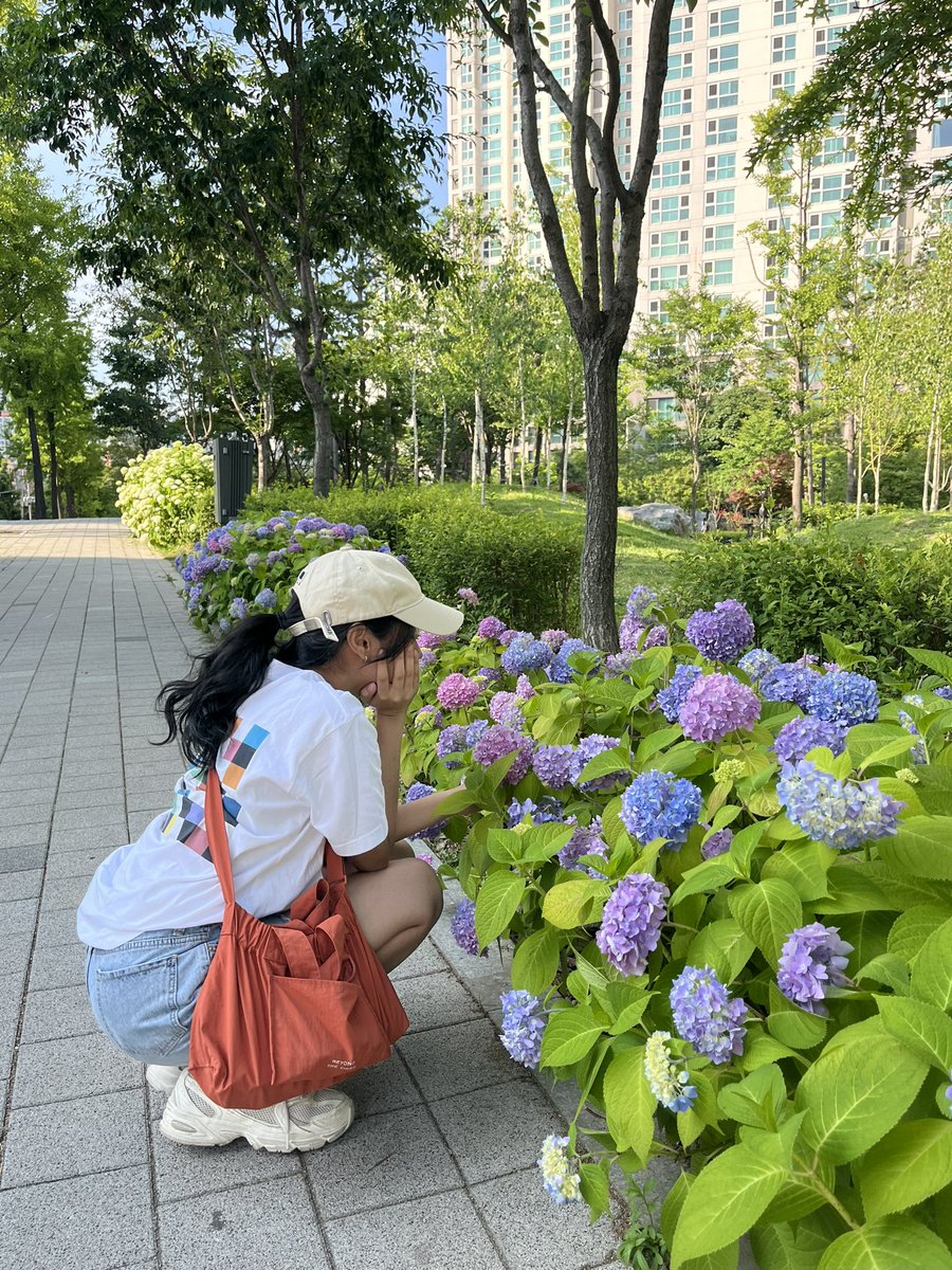 AAAAA to more days like this🥺🌟
Ps warna bunganya cantik bgt???