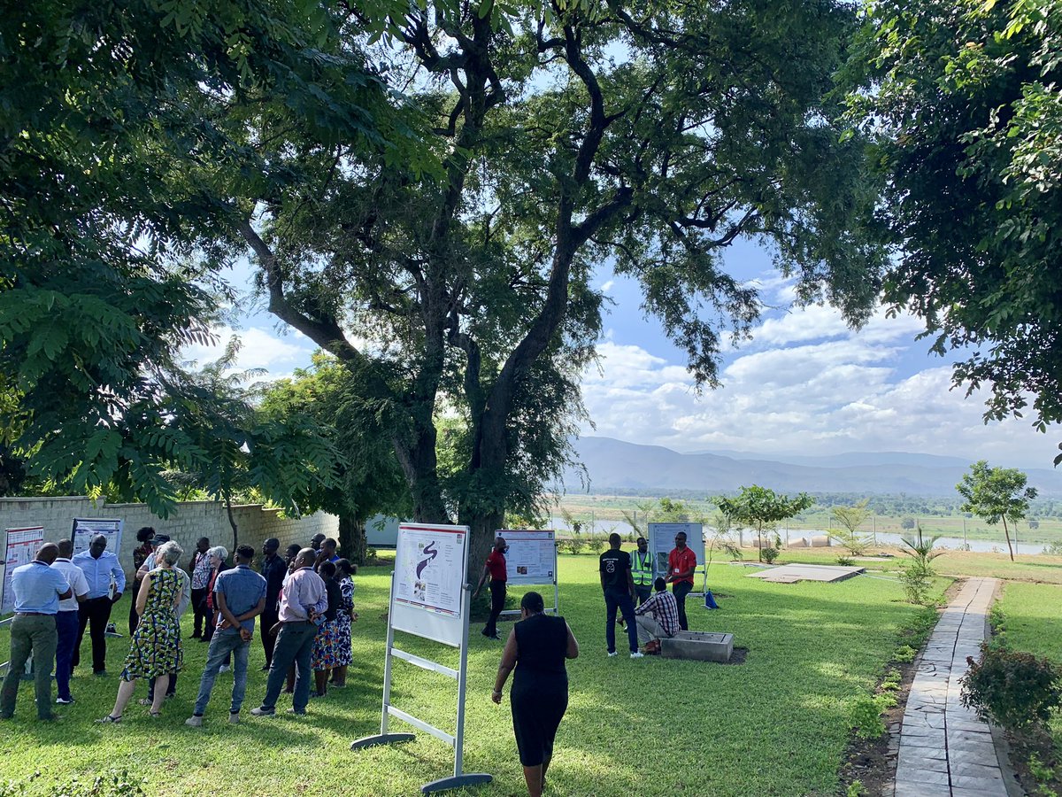 Fantastic setting for a Poster walk, in dappled shade overlooking the Shire river at Chikwawa <a href="/MLW_Programme/">Malawi Liverpool Wellcome Programme</a> 

🦟 Learnt about malaria vaccine and epi (Epimal), PK chemoprophylaxis in children (Optimal), and schisto prevalence in response to new irrigation project (ShireVec) 🐌