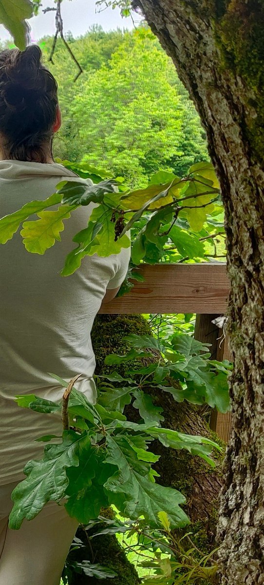 Aste  honetan nere pijamak bat egin du, Iratiko naturarekin, aze plazera! #pijama #asteanbehin #sasitxiotx