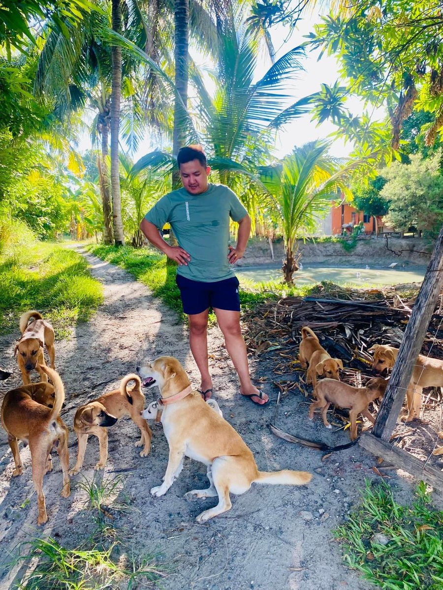 DocSaddam3's tweet photo. Lumaki po tlaga ako sa Farm your honor🤣🌴🏡🌳 https://t.co/wQWd3TPds2