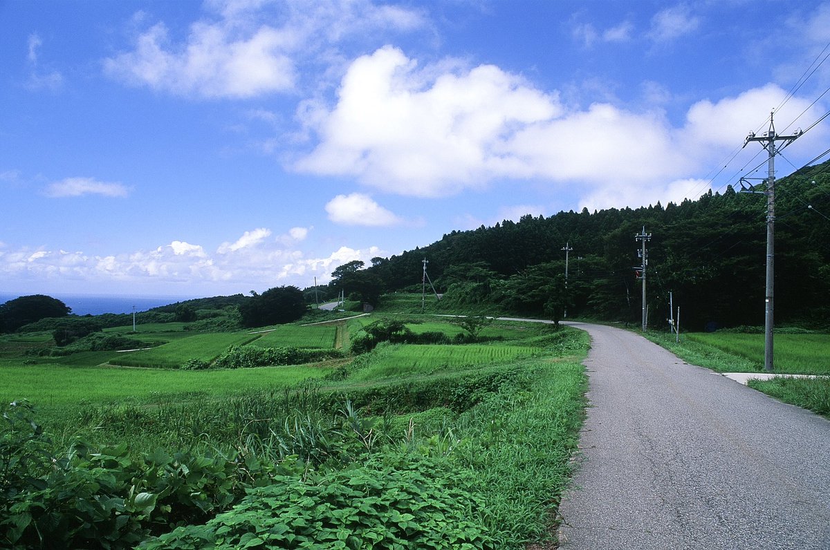 大人になってから憧れた夏の圧迫感

2022年夏
Nikon F3HP
Nikkor AI 24mm F 2.8S

記憶に残ってた
子供の頃に感じた祖父母宅の夏の圧迫感

#輪島市 #下山町
#filmphotography #キリトリセカイ 
#フィルムカメラ #フィルム写真 
#リバーサルフィルム #フジフィルム #velvia50 #私とニコンで見た世界