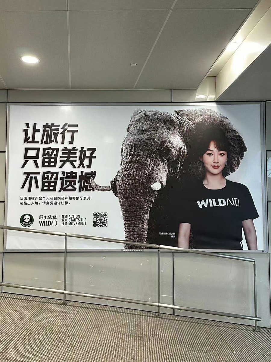 📸240531 Billboards of @WildAid Ambassador #YangZi in Thailand’s Bangkok Airport and Shanghai’s Pudong Airport 

Protecting elephants against the illegal ivory trade 🐘
