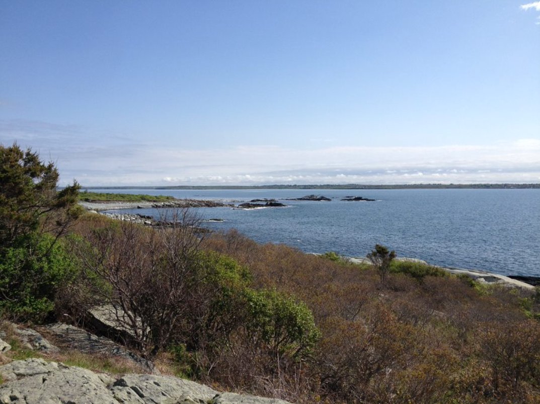 Sachuest. Dad's beach.