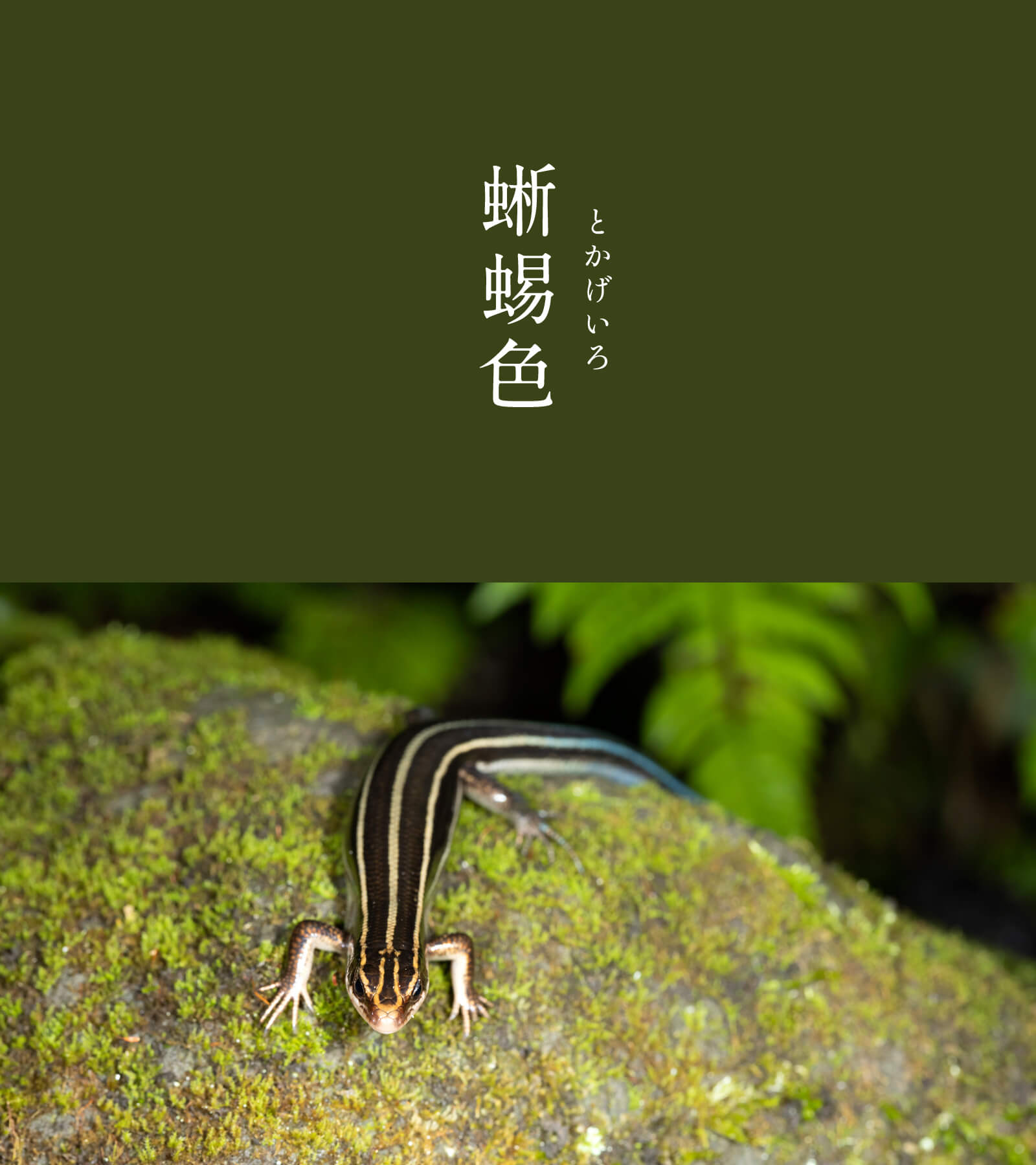 暦生活 on X: 