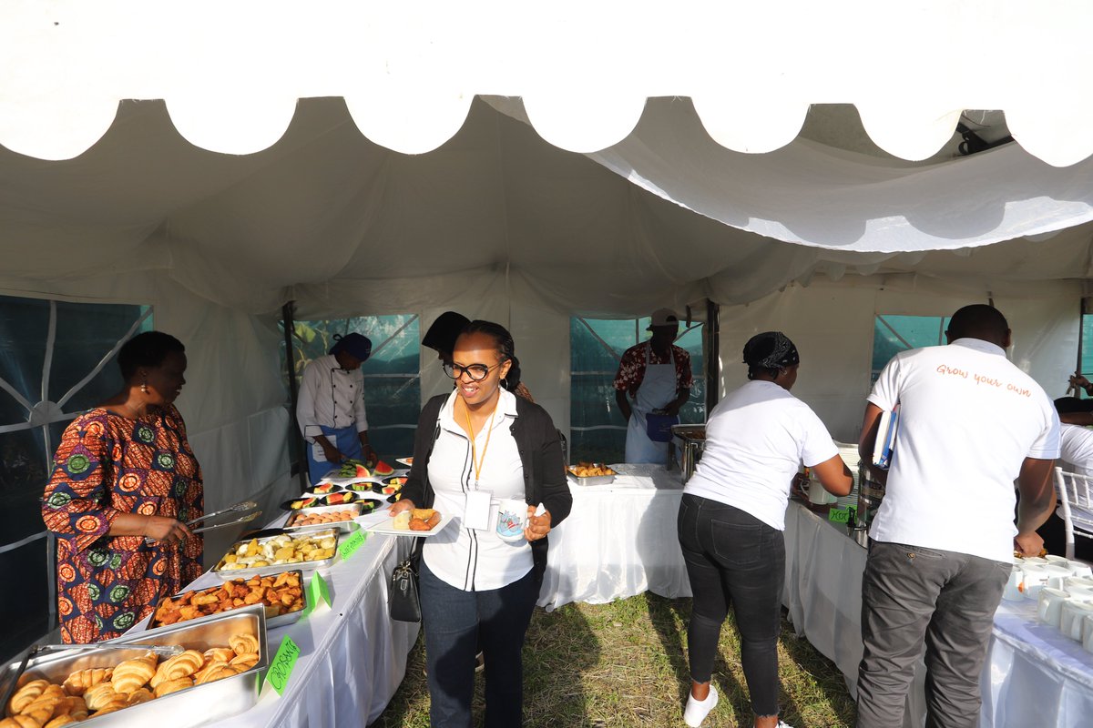 city_shamba's tweet photo. Tukisema Breakfast, Best Believe that we are Breaking the Fast! Like every farmer should!
After great food and that boost of energy our agronomist @jefregas, took our visitors on a tour of the farm. FYI, Wamemaliza Okra and Celery ๐
#IamaChangeMaker https://t.co/NhLqq45rIQ