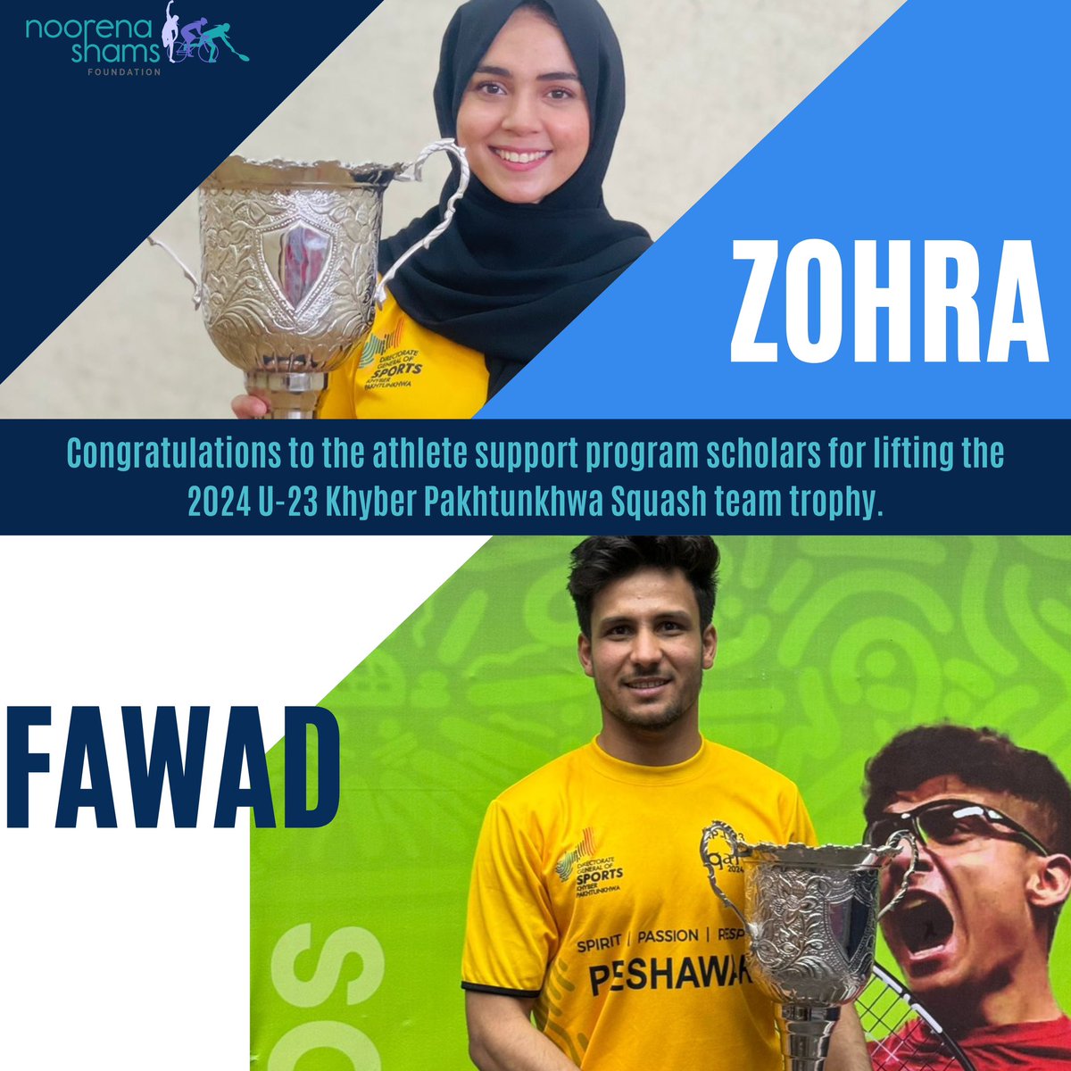 noorenashamsfoundation tweet media