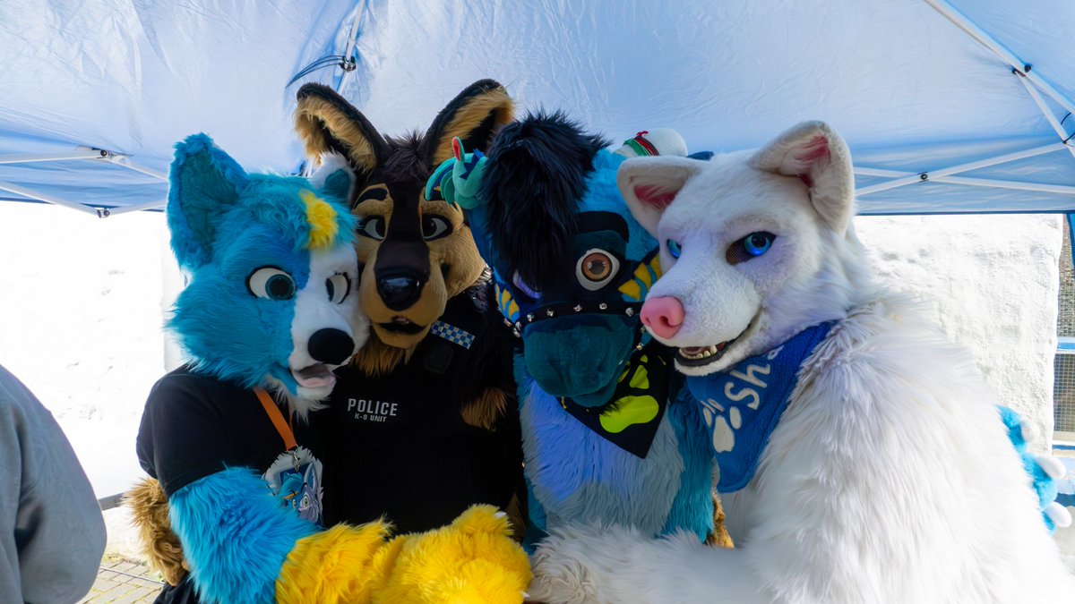 YellowStreak tweet media