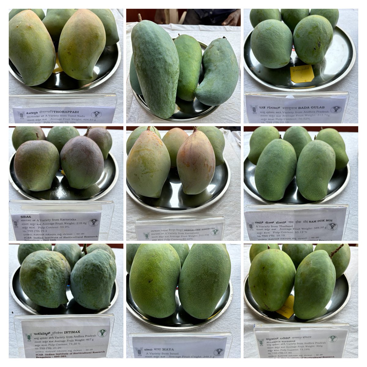 ICAR_IIHR's tweet photo. The Mango, Banana, and Jackfruit #TriPhal Diversity Fair begins today at @ICAR_IIHR Hesaraghatta. Jointly organized with @IcarNrcb, @sphindia, and @pcfruits, the fair runs from May 31 to June 2, 2024, at Hesaraghatta campus. All are invited! Witness the #Diversity! @icarindia https://t.co/vAjn5Xx4Ma