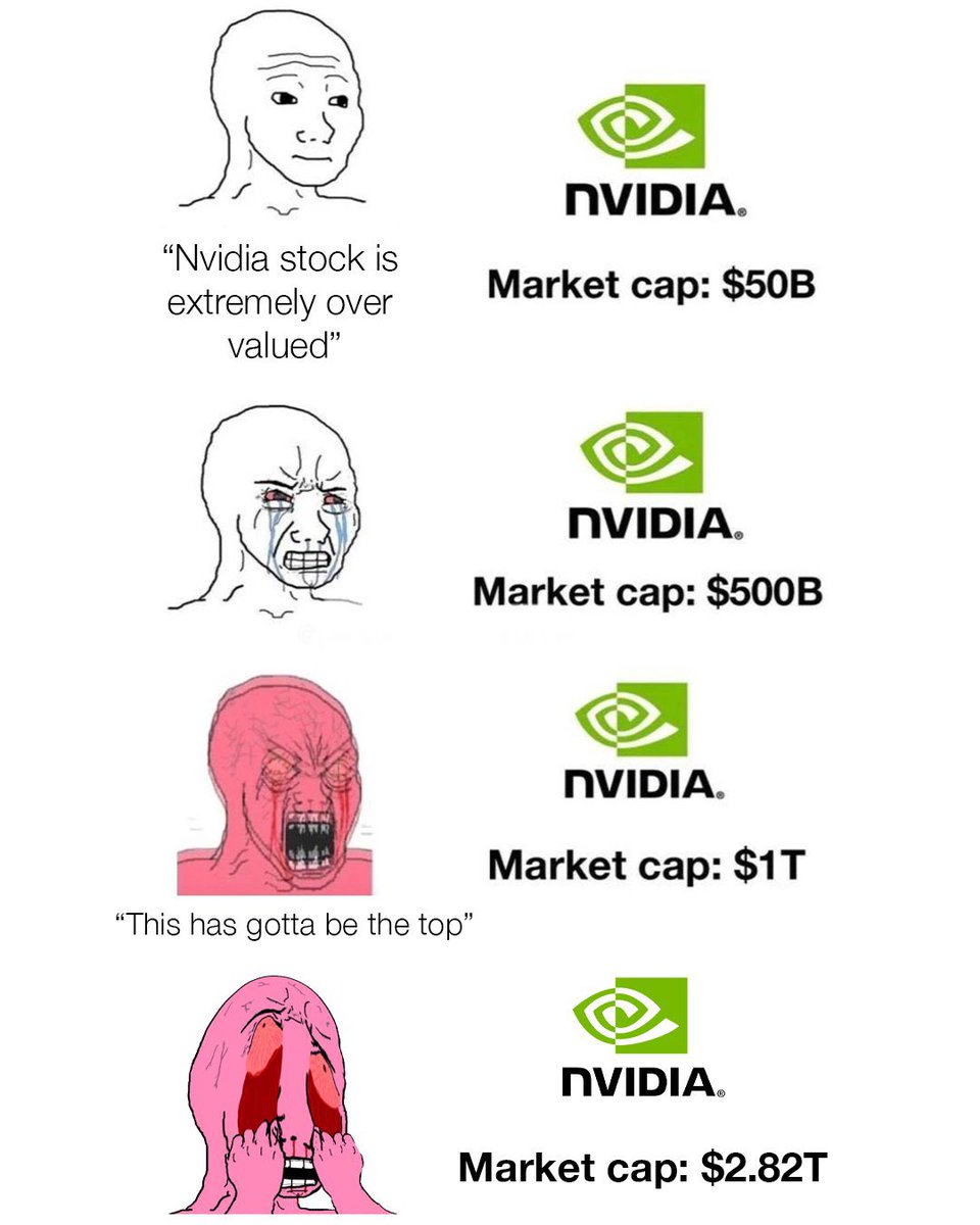 Everyone who doesn’t own Nvidia $NVDA: