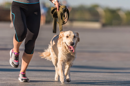 10 Fun Ways To Exercise Your Dog

#dogfitness #dogsofinstagram #dogtraining #dog #workingdog #dogs #fitdog #fitness #caninefitness 

pawsomebuds.com/fitness/10-fun…