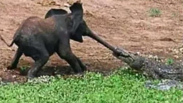 What factors do ladies consider to do this to a guy ? 😆