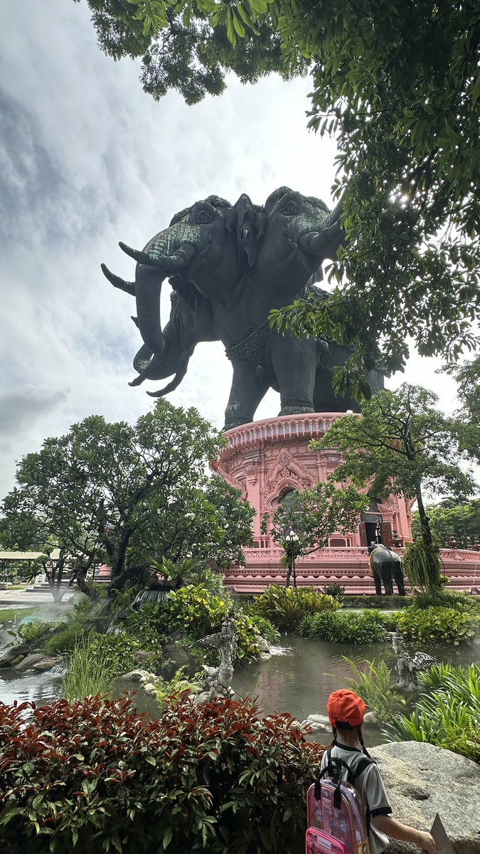 ✨ Carly Peart 🌟 tweet media