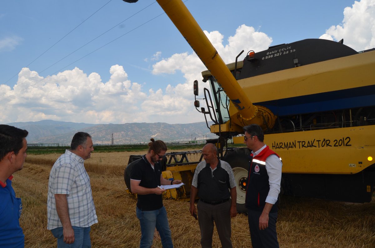 Buharkent'te #buğday hasadına başlandı. Biçerdöver ve dane kaybı kontrolleri gerçekleştirildi. #tarımveormanbakanlığı #aydınvaliliği #aydıniltarım #ibrahimyumaklı #ibrahilaltıntaş  #buharkentkaymakamlığı09 #cumaomurca #ibrahimselli #hasat #buğday 
#buharkent #buharkenttarim