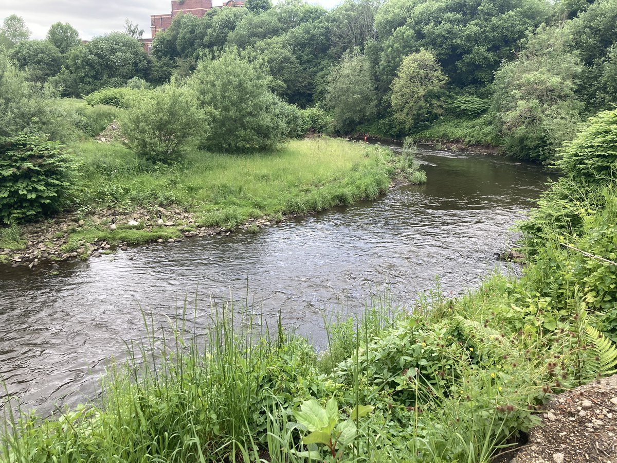 A much nicer location today after a run of building sites and roads.
#dronelife
#surveying