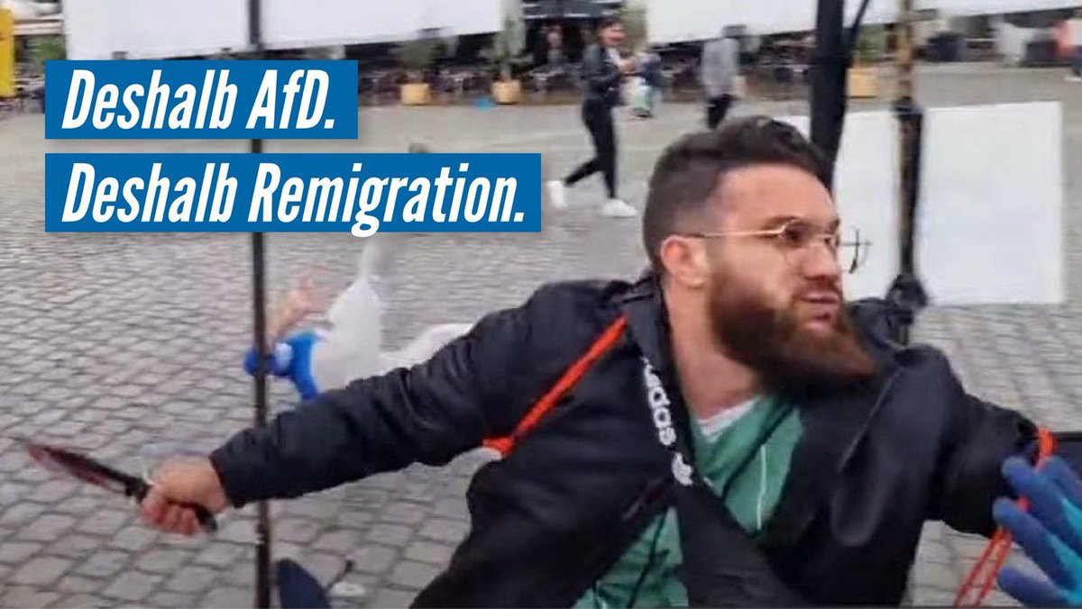 #Mannheim #Stürzenberger #Remigration