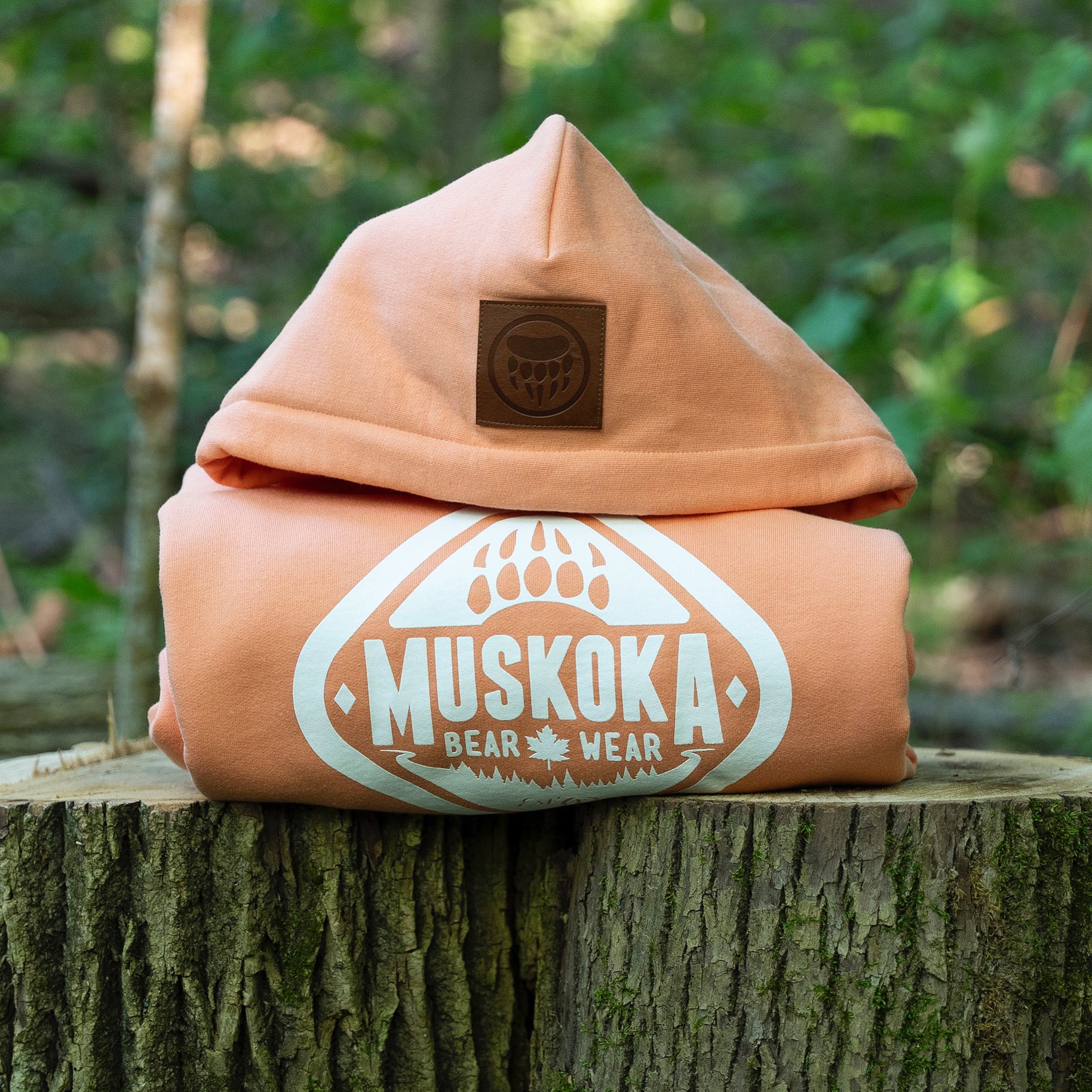 Bear wear hoodie hotsell