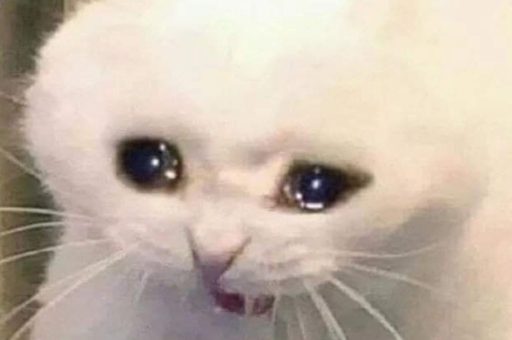 IrmaorobinFC's tweet image. Trabalhar pós feriado é uma das coisas mais cruéis da vida