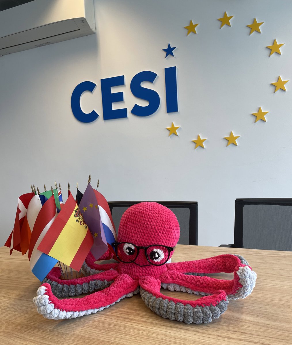 CESI Youth tweet media