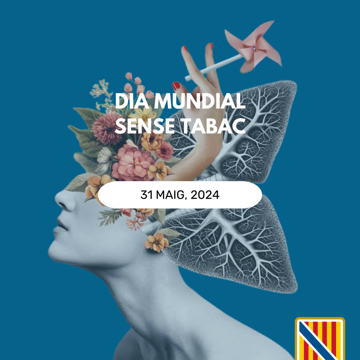 Avui, en el Dia Mundial Sense Tabac, et recordam que molts professionals sanitaris et poden ajudar a deixar de fumar 🚭

Si vols, pots 💪🏻 Emprèn una vida sense tabac per la teva salut i la dels que estimes ❤️